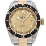 チューダー/チュードル ブラックベイ シャンパン 新品 (TUDOR Black Bay)/ Ref.79733N-0004 メンズ