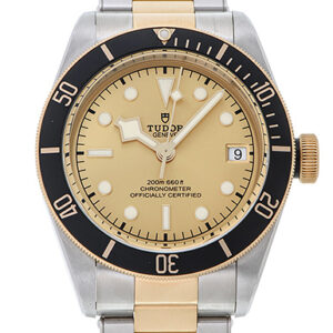 チューダー/チュードル ブラックベイ シャンパン 新品 (TUDOR Black Bay)/ Ref.79733N-0004 メンズ